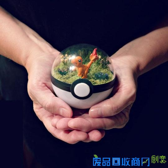 创意绝佳!美国艺术家发售《精灵宝可梦》玻璃盆栽受热捧