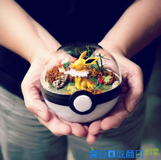 创意绝佳!美国艺术家发售《精灵宝可梦》玻璃盆栽受热捧