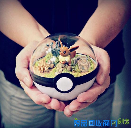 创意绝佳!美国艺术家发售《精灵宝可梦》玻璃盆栽受热捧