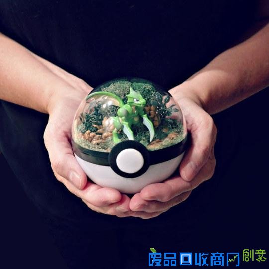 创意绝佳!美国艺术家发售《精灵宝可梦》玻璃盆栽受热捧