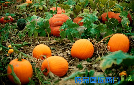 这张大自然美景图中有个美女,你找到了吗~