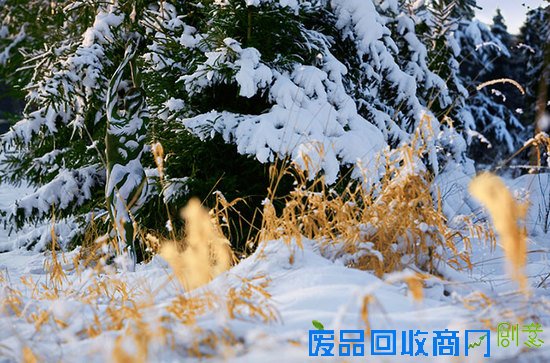 这张大自然美景图中有个美女,你找到了吗~