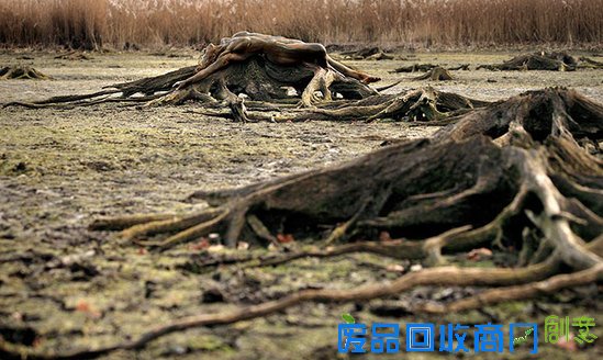 这张大自然美景图中有个美女,你找到了吗~