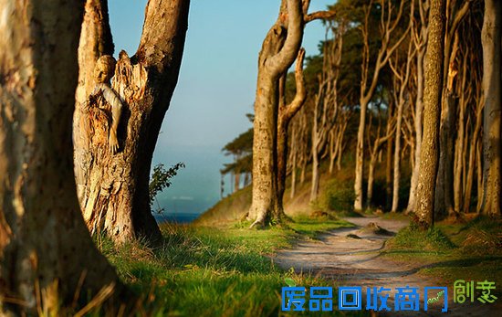 这张大自然美景图中有个美女,你找到了吗~