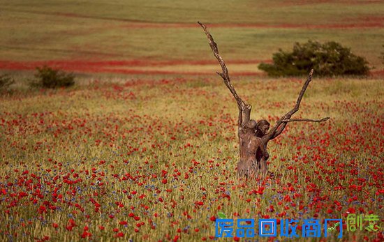 这张大自然美景图中有个美女,你找到了吗~