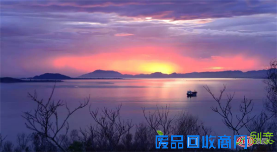 广告精英登岛实况：用实景，震撼广告人玩创意的大脑