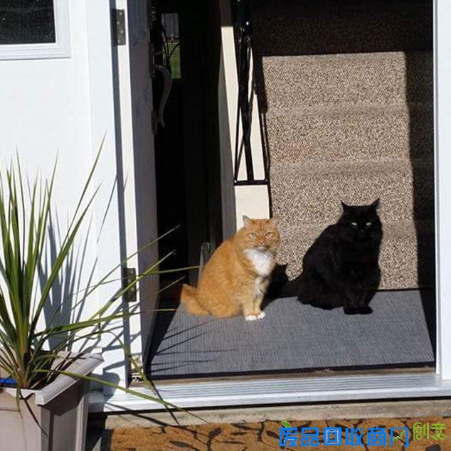 百思不解！视觉错觉图片考验你的眼力