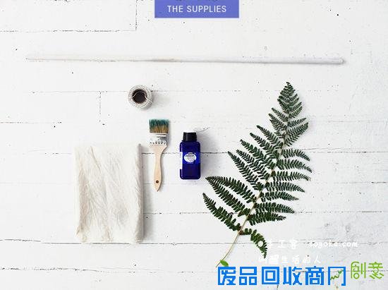 diy染色教程:植物+阳光+纺织染料=美丽的植物图案染色靠垫创意diy教程