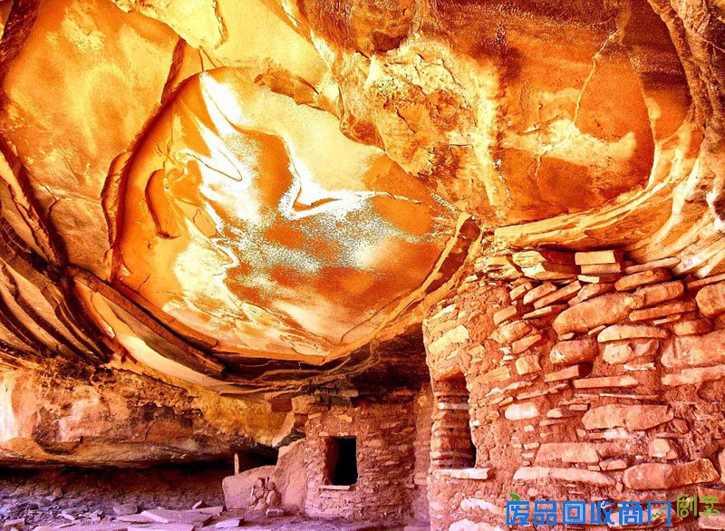 美国家公园举办摄影大赛拍最美图景