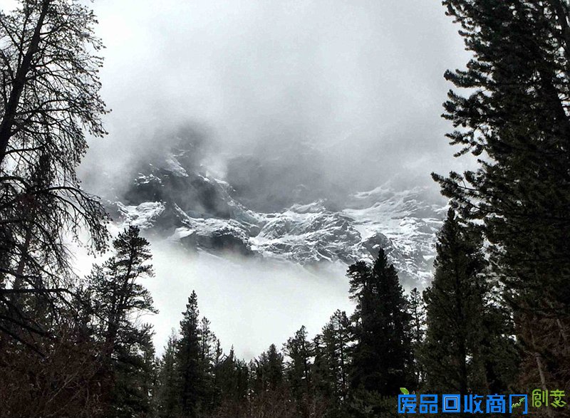 美国家公园举办摄影大赛拍最美图景