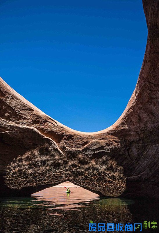 美国家公园举办摄影大赛拍最美图景