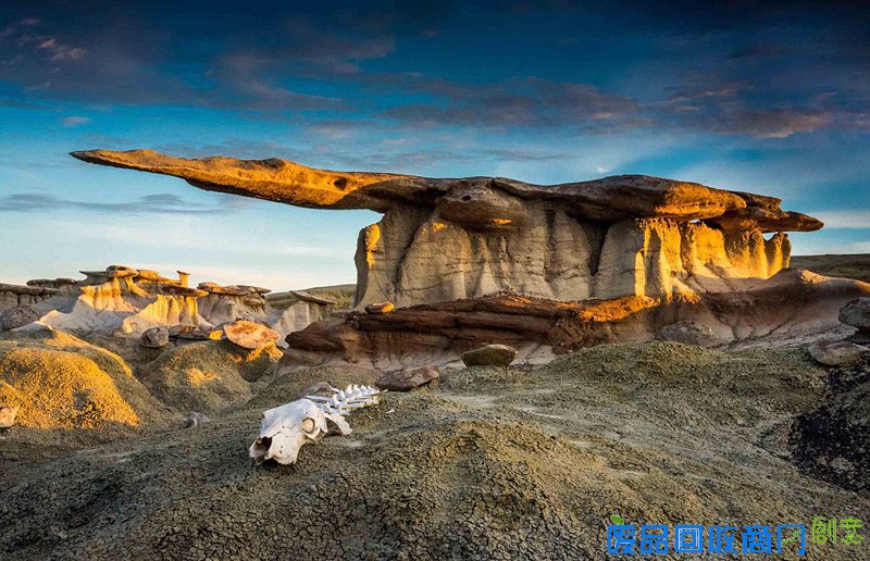 美国家公园举办摄影大赛拍最美图景