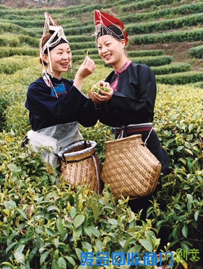 秀山丽水 养生福地 丽水欢迎您！