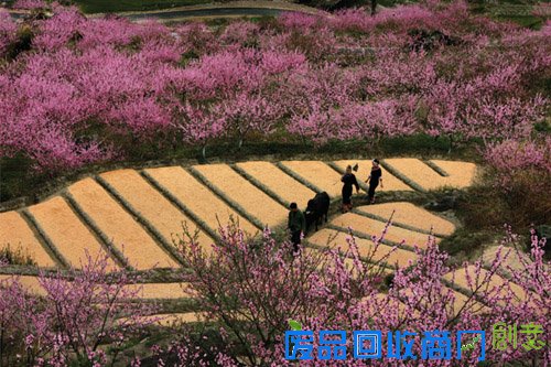 秀山丽水 养生福地 丽水欢迎您！