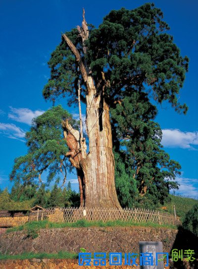 秀山丽水 养生福地 丽水欢迎您！