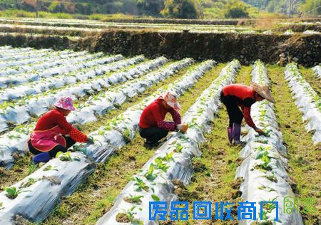 1478140244139246.jpg 3.jpg