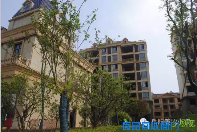 【美浓小镇】10月7日，披萨DIY！“塔罗牌”运势测算！即将欢乐开场！