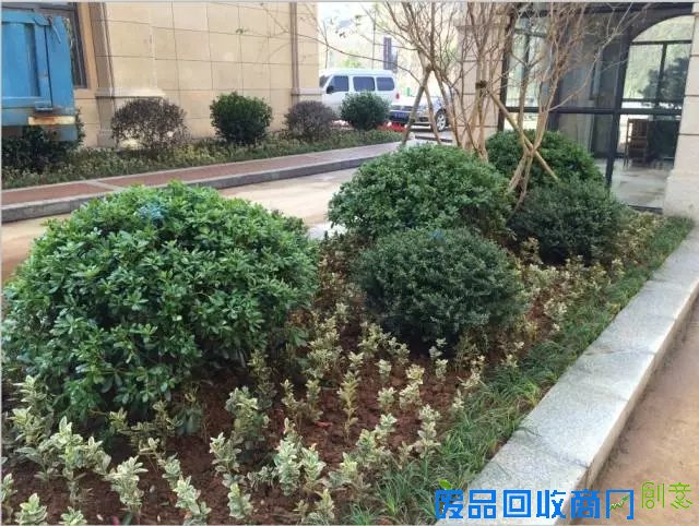 【美浓小镇】10月7日，披萨DIY！“塔罗牌”运势测算！即将欢乐开场！