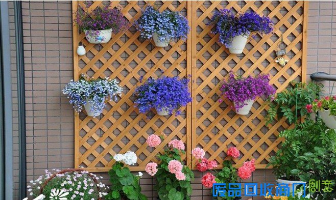 3大步骤让你拥有“阳台花园”!