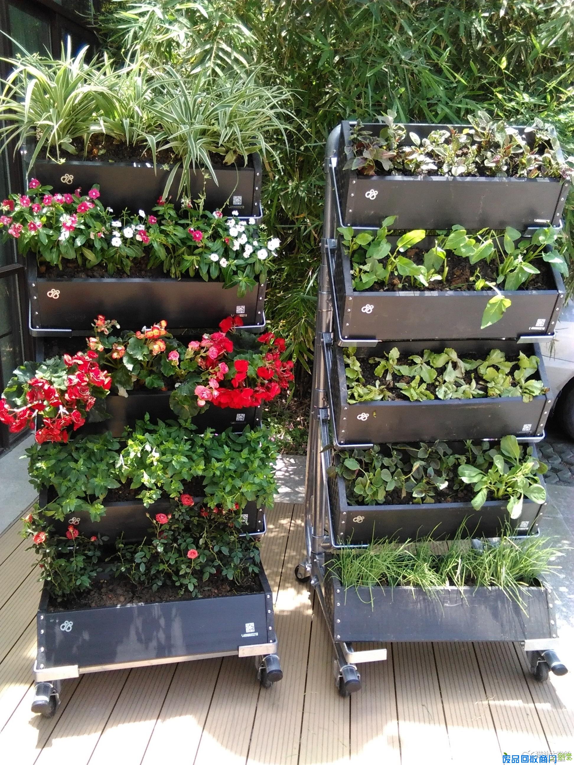 3大步骤让你拥有“阳台花园”!