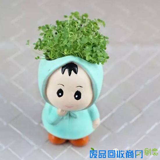 创意迷你小植物，让居家生活与众不同