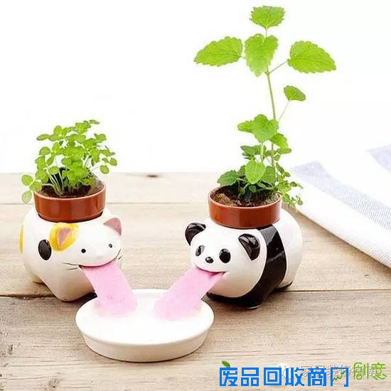 创意迷你小植物，让居家生活与众不同