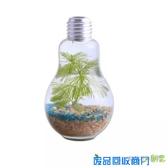 创意迷你小植物，让居家生活与众不同