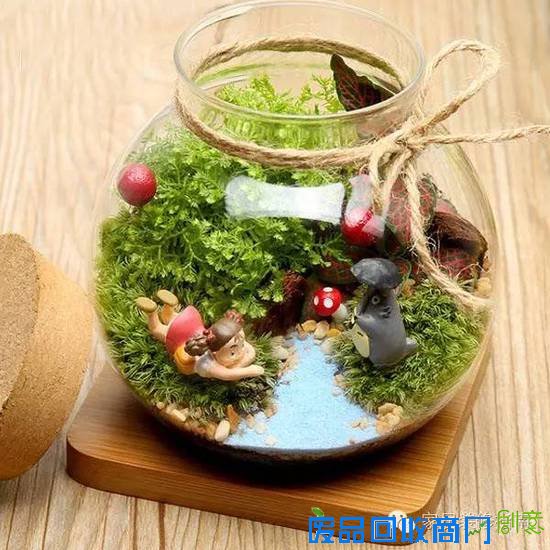 创意迷你小植物，让居家生活与众不同