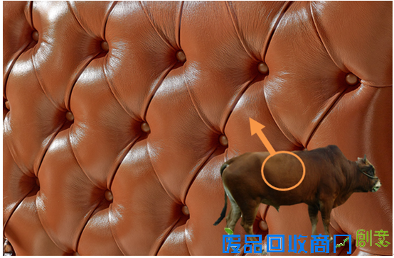 古典风大气派 美乐乐美式雕花真皮床赏析