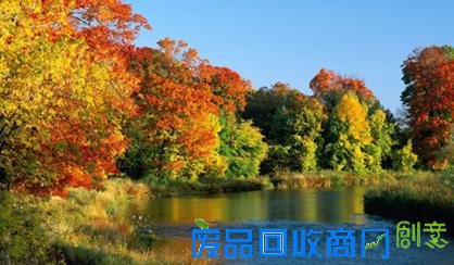 孩子去哪儿之暑假篇