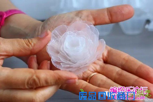 透明塑料蛋托制作的漂亮花束教程