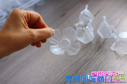 透明塑料蛋托制作的漂亮花束教程