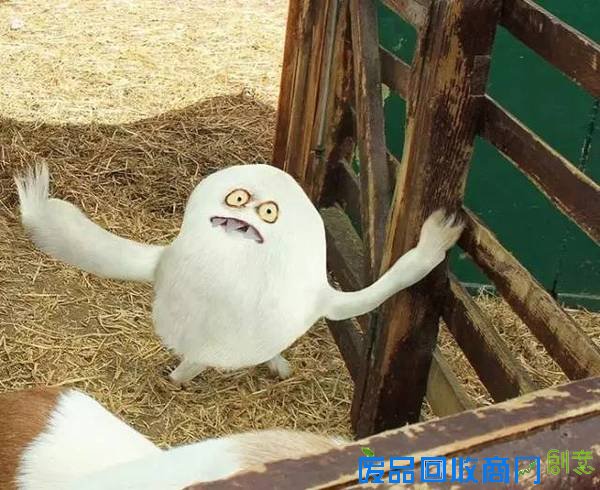 老爹把6岁儿子的涂鸦P进现实，画风炸裂到不忍直笑！