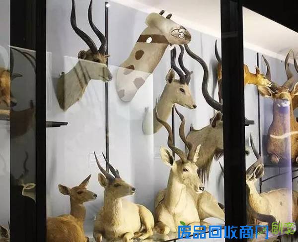 老爹把6岁儿子的涂鸦P进现实，画风炸裂到不忍直笑！