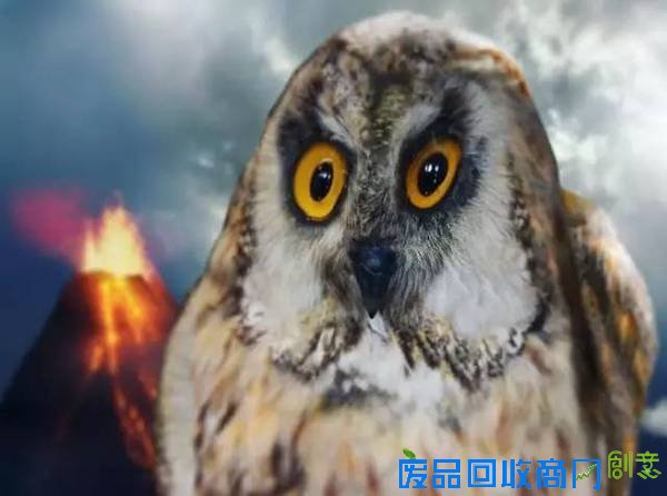 老爹把6岁儿子的涂鸦P进现实，画风炸裂到不忍直笑！