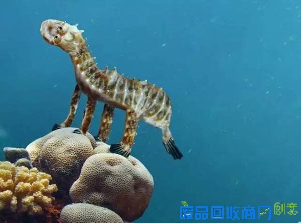 老爹把6岁儿子的涂鸦P进现实，画风炸裂到不忍直笑！