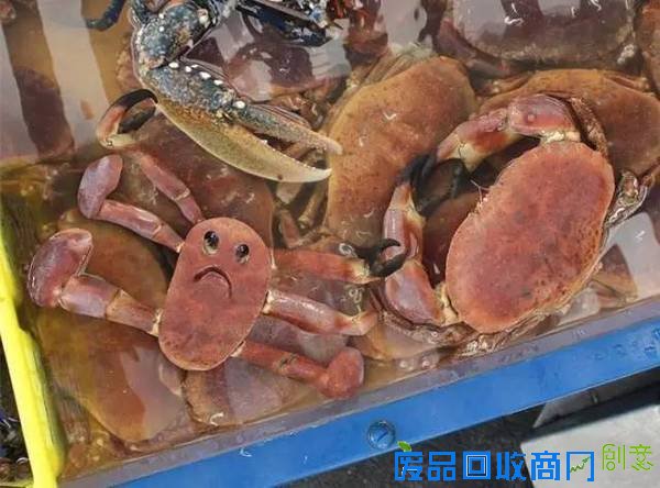 老爹把6岁儿子的涂鸦P进现实，画风炸裂到不忍直笑！