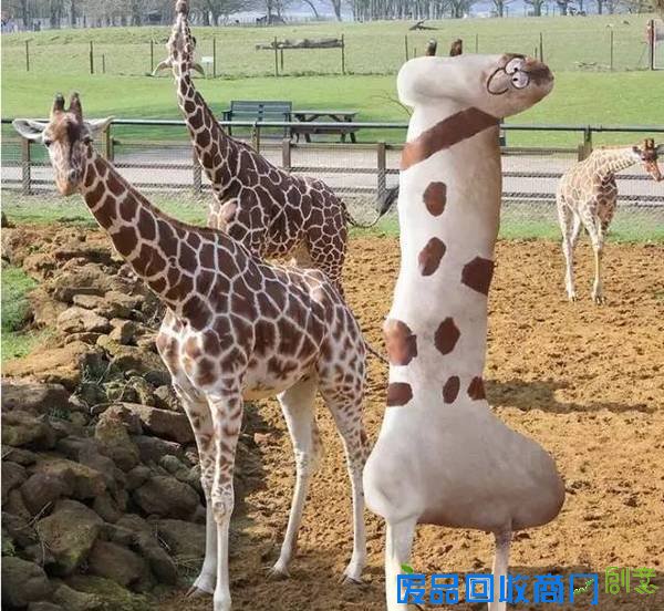 老爹把6岁儿子的涂鸦P进现实，画风炸裂到不忍直笑！