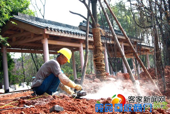 赣县“城市绿肺”将最好的视觉资源留给市民