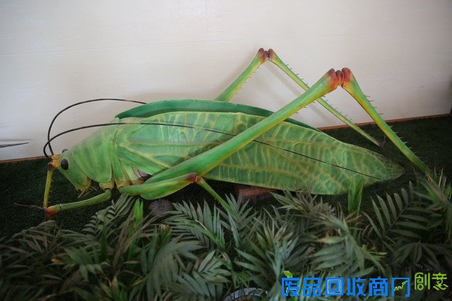 《CRI会客厅》中国民间博物馆馆长系列访谈：探秘草叶间的宇宙 发现微观世界