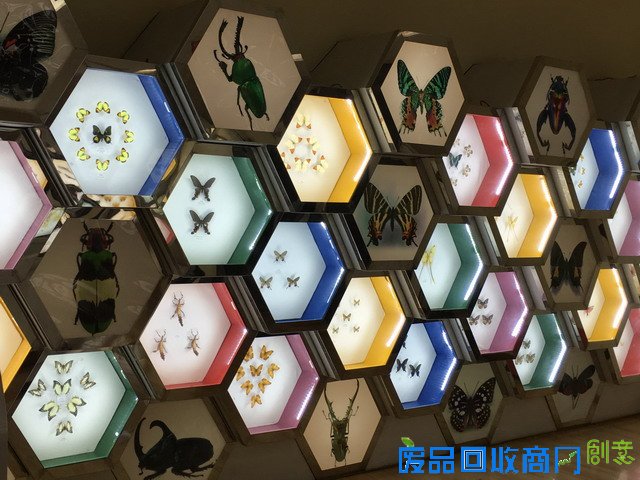 《CRI会客厅》中国民间博物馆馆长系列访谈：探秘草叶间的宇宙 发现微观世界