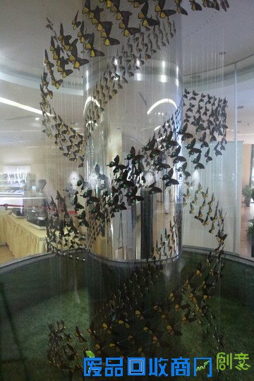 《CRI会客厅》中国民间博物馆馆长系列访谈：探秘草叶间的宇宙 发现微观世界