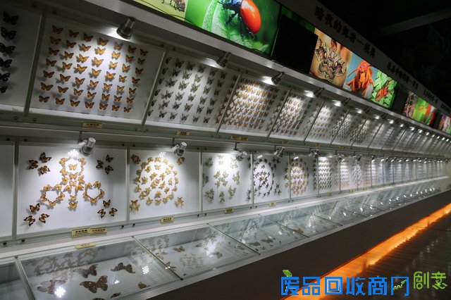 《CRI会客厅》中国民间博物馆馆长系列访谈：探秘草叶间的宇宙 发现微观世界