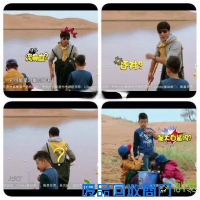 石头之“小鱼流鼻血”论