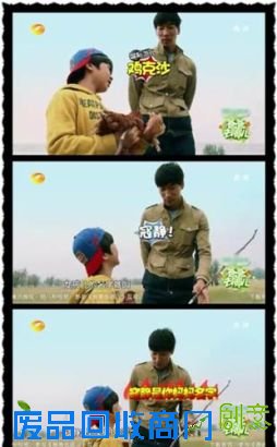 天天为小鸡命名“寇静”