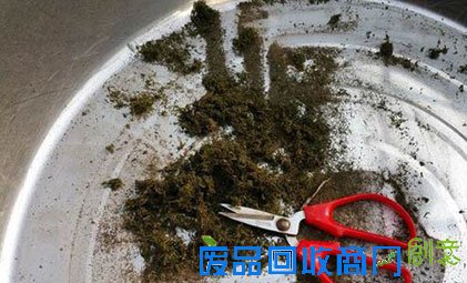 兰花盆面苔藓的制作