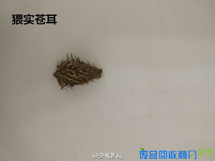 辽宁口岸在进口美国大豆中检出有毒生物(图)
