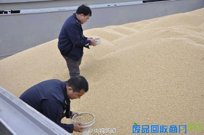 辽宁口岸在进口美国大豆中检出有毒生物(图)
