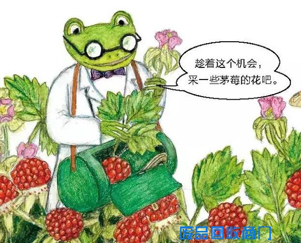 悦读起跑线?|?科普+手工!和孩子一起让生活废品变成创意小玩物