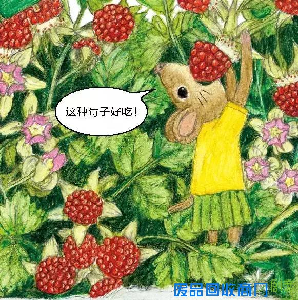 悦读起跑线?|?科普+手工!和孩子一起让生活废品变成创意小玩物